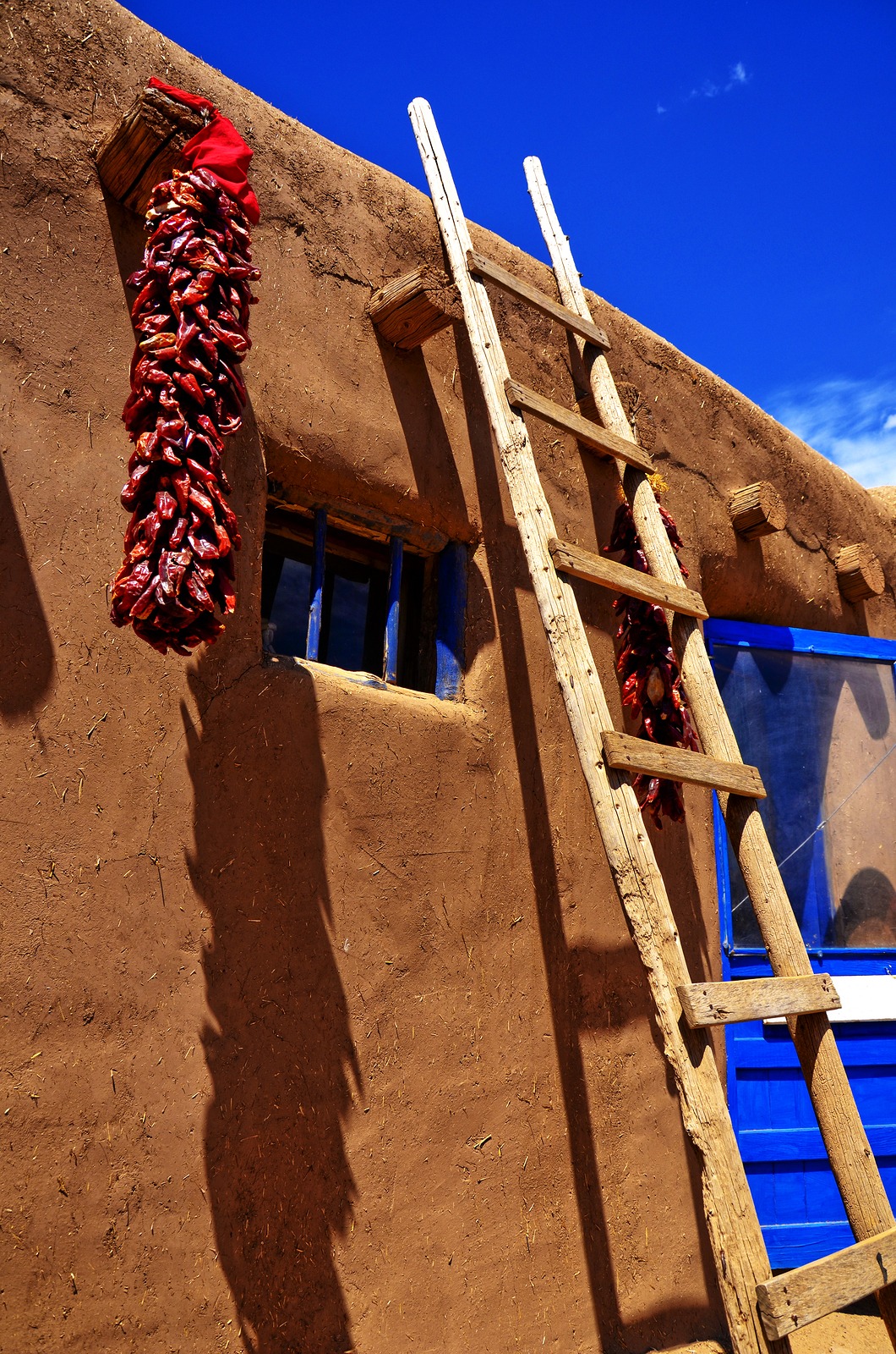 property management company Albuquerque nm