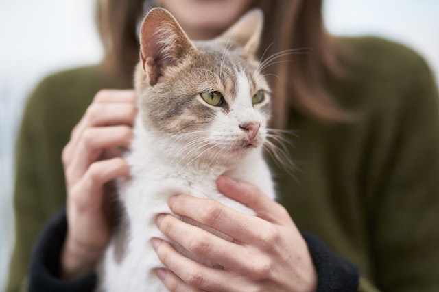 happy tenant with cat