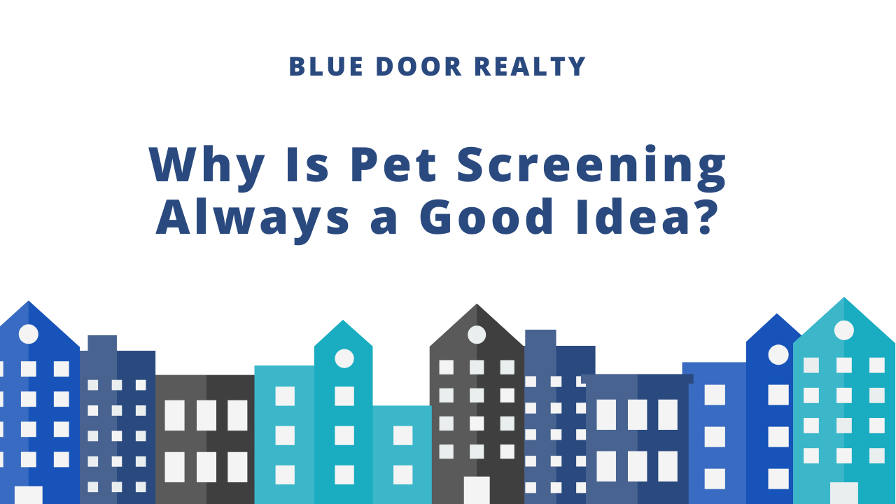 Why Is Pet Screening Always a Good Idea?