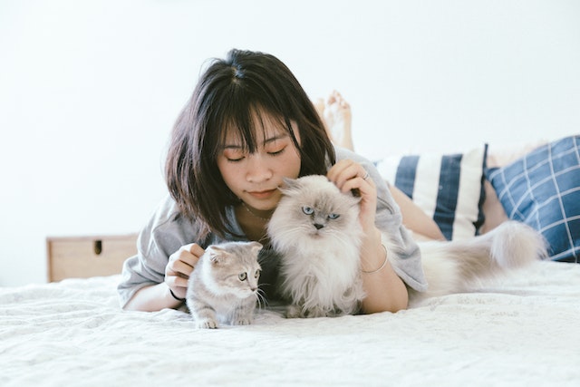 a person on a bed cuddling cats