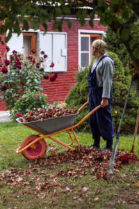 Fall Maintenance