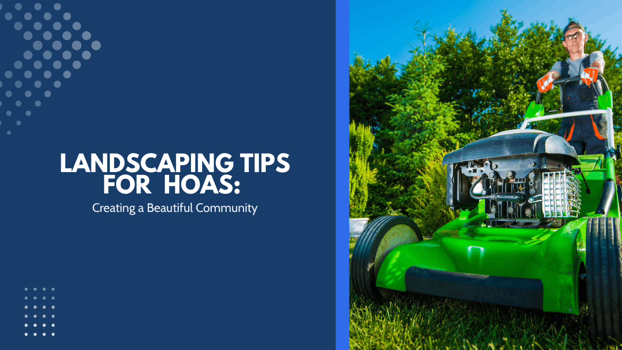 Landscaping Tips for Albuquerque HOAs: Creating a Beautiful Community